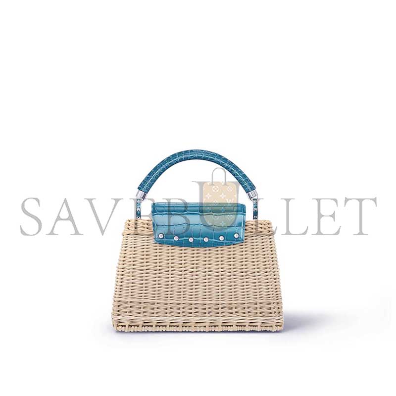 LOUIS VUITTON CAPUCINES BB N85480 (27*17*14cm)